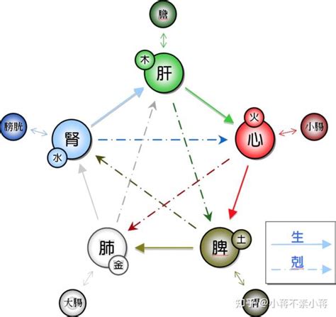 心五行|心 (脏腑)